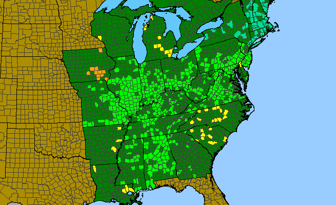 The range of Tradescantia virginiana